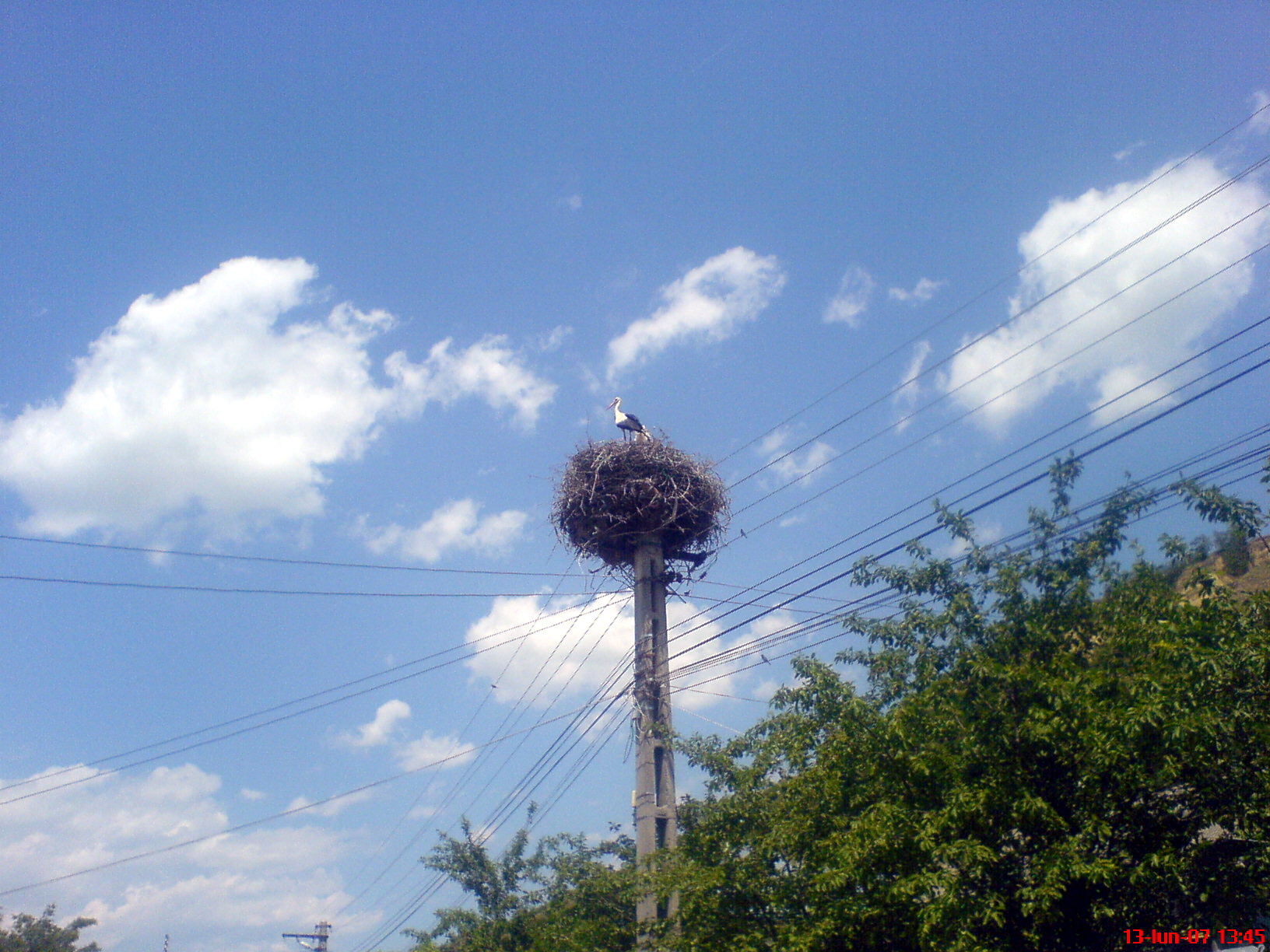 A stork’s nest