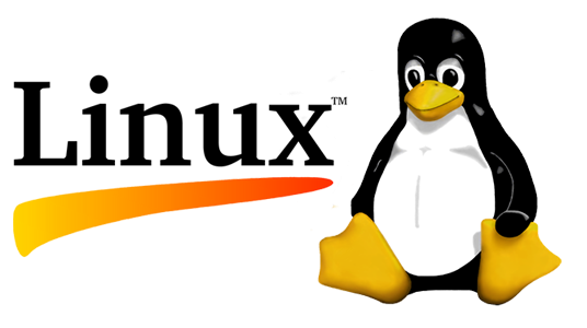 How to Repair a Corrupt MBR and boot into Linux